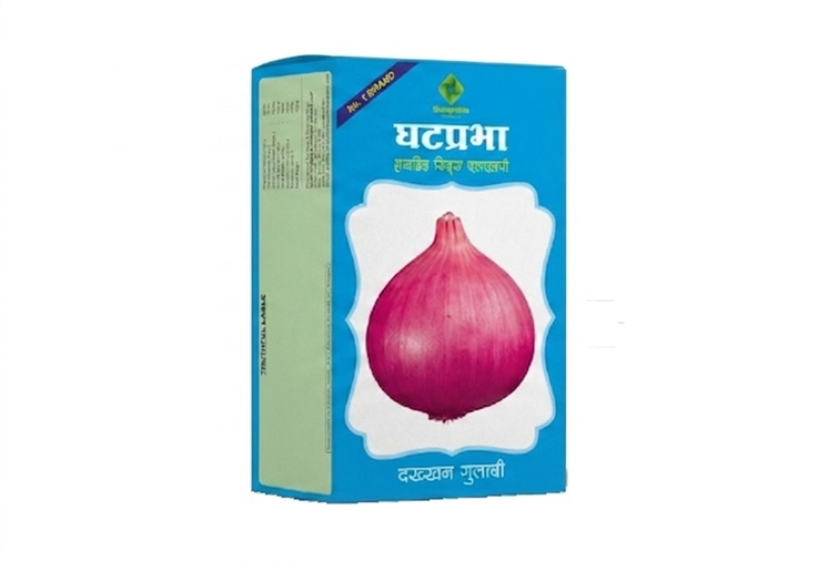Onion Seeds Dakhhan Gulabi